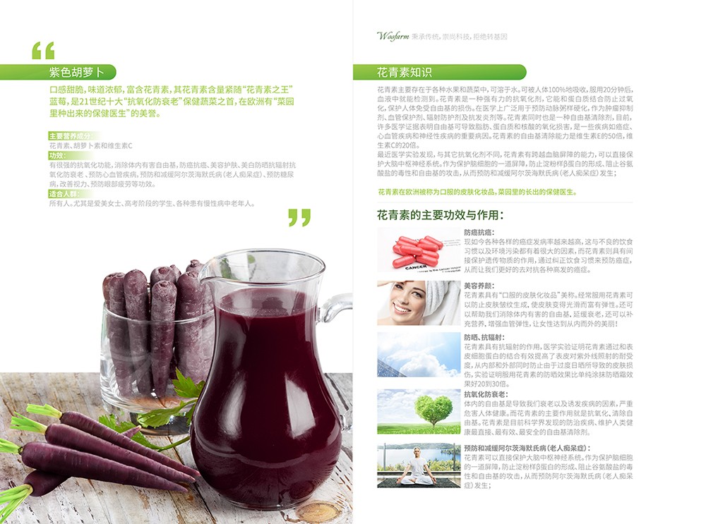 農產品畫冊設計,農副產品畫冊設計公司 農產品畫冊設計,農副產品畫冊設計公司