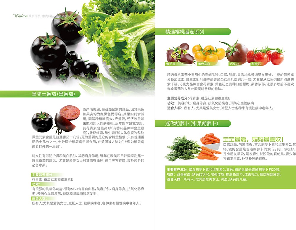 農產品畫冊設計,農副產品畫冊設計公司 農產品畫冊設計,農副產品畫冊設計公司