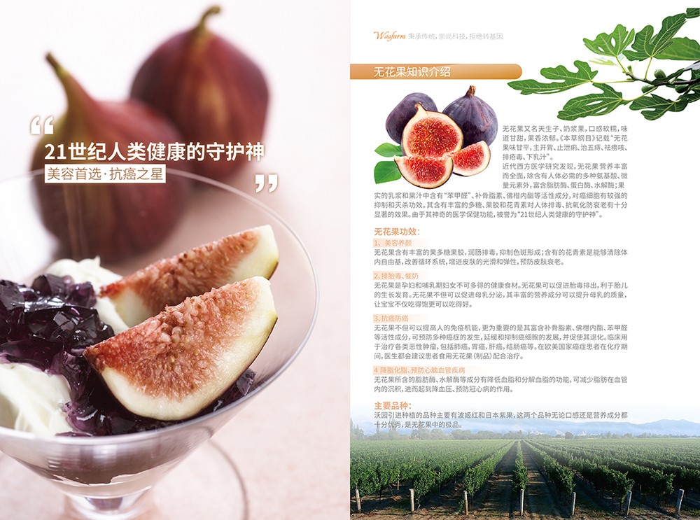 農產品畫冊設計,農副產品畫冊設計公司 農產品畫冊設計,農副產品畫冊設計公司