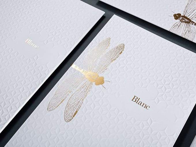 企業vi設計包括什么？vi手冊設計的基本要求有哪些？