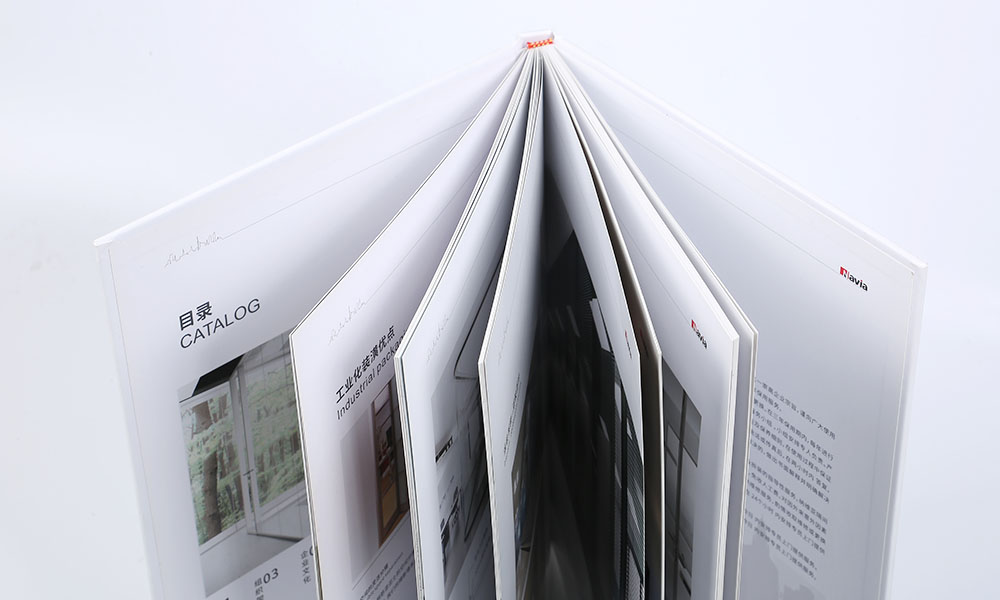 怎么學(xué)畫冊公司哪個好？