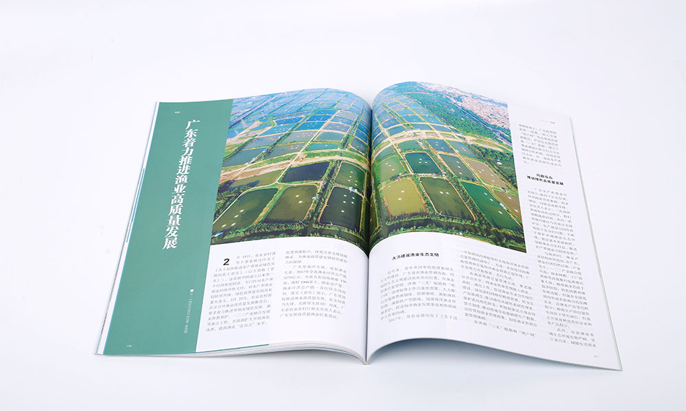 樣本宣傳冊設計制作多大尺寸？